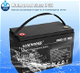 HANIWINNER HD009-10 12.8V 100Ah LiFePO4 Lithium Battery - 5 - Thumbnail