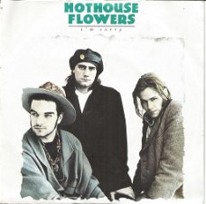 Hothouse Flowers – I'm Sorry (1988)