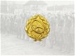 Embleem,Duitsland,WWII,Kraftfahrbewahrung,Wehrmacht,Gold - 0 - Thumbnail