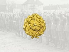 Embleem,Duitsland,WWII,Kraftfahrbewahrung,Wehrmacht,Gold