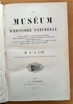 Le Muséum d’Histoire Naturelle 1854 flora en fauna - 3