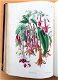 Le Muséum d’Histoire Naturelle 1854 flora en fauna - 6 - Thumbnail