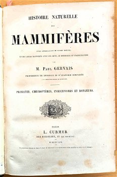 Histoire Naturelle des Mammifères 1854 Gervais - Apen - 3