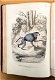 Histoire Naturelle des Mammifères 1854 Gervais - Apen - 4 - Thumbnail