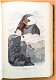 Histoire Naturelle des Mammifères 1854 Gervais - Apen - 5 - Thumbnail