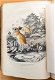 Histoire Naturelle des Mammifères 1854 Gervais - Apen - 7 - Thumbnail