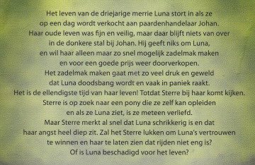 DE LIEFDE VAN LUNA - Christine Linneweever - 1