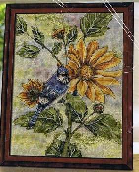 Borduurpakket Sunflower Bluejay - 1