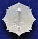 Amerikaanse politie badge Kentucky - 1 - Thumbnail