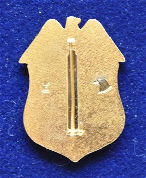 Amerikaanse politie badge Department of the Treasury - 1
