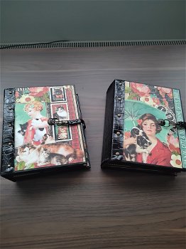 Mini albums Graphic 45 Raining cats and dogs - 0