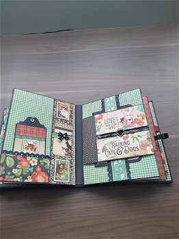 Mini albums Graphic 45 Raining cats and dogs - 4