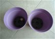 Drie ronde kunststof plantenbakken van Elho (kleur: lila). - 1 - Thumbnail