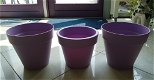 Drie ronde kunststof plantenbakken van Elho (kleur: lila). - 4 - Thumbnail