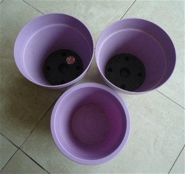 Drie ronde kunststof plantenbakken van Elho (kleur: lila). - 5