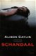 Alison Gaylin ~ Schandaal - 0 - Thumbnail