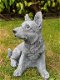 herders hond , puppy , stenen beeld - 0 - Thumbnail