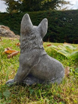 herders hond , puppy , stenen beeld - 1