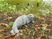 zeehond,tuinbeeld - 1 - Thumbnail