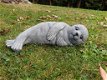 zeehond,tuinbeeld - 3 - Thumbnail
