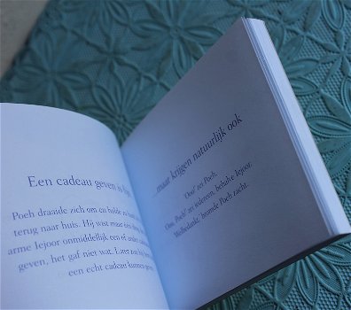 Winnie-de-Poeh - het kleine boek van vriendschap - 2