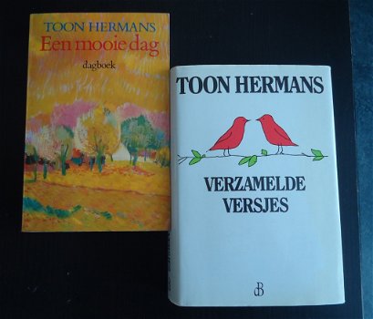 Te koop het boek Een Mooie Dag: Dagboek van Toon Hermans. - 4