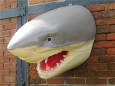 haai , muurdecoratie