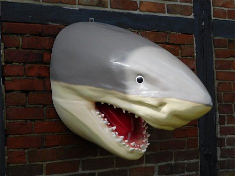 haai , muurdecoratie - 1