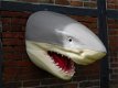 haai , muurdecoratie - 1 - Thumbnail