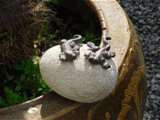 salamander op steen , tafel decoratie