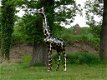 Giraffe ,beeld giraffe - 5 - Thumbnail