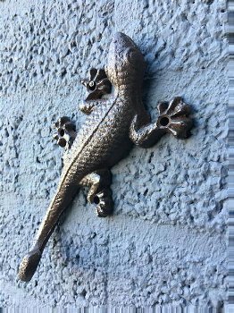 wanddecoratie salamander , muurdecoratie salamander - 1