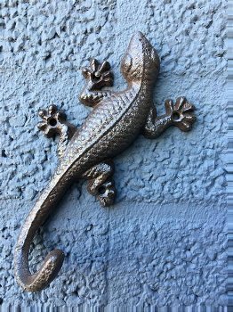 wanddecoratie salamander , muurdecoratie salamander - 2