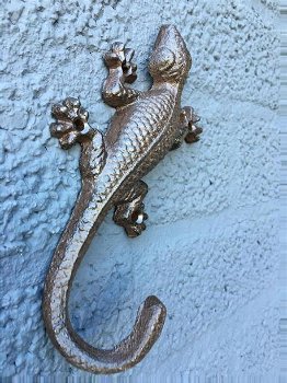 wanddecoratie salamander , muurdecoratie salamander - 4