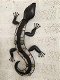 Salamander , muurdecoratie , kado - 4 - Thumbnail
