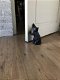 deurstopper van een kat , poes - 0 - Thumbnail