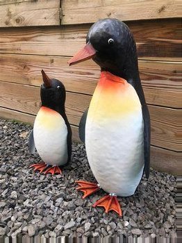 Pinguïn , kado - 0