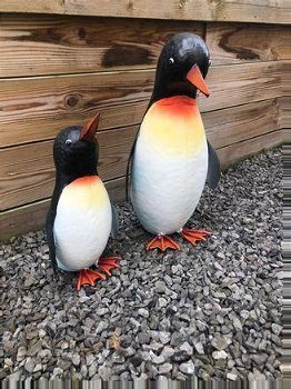 Pinguïn , kado - 1