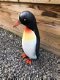 Pinguïn , kado - 4 - Thumbnail