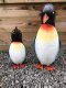 Pinguïn , kado - 6 - Thumbnail