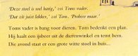 TEMMER TOM - Tjibbe Veldkamp - 1 - Thumbnail