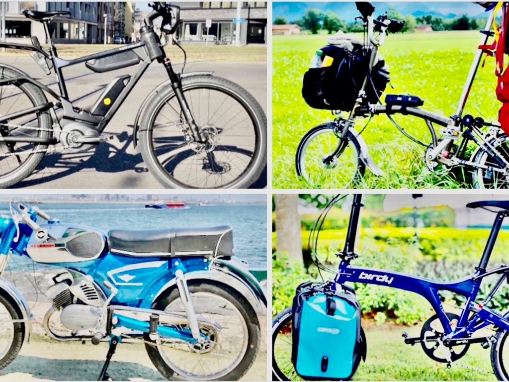 brompton bicycle riese & müller