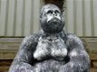 gorilla , kado - 0 - Thumbnail