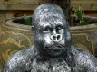 gorilla , kado - 2 - Thumbnail