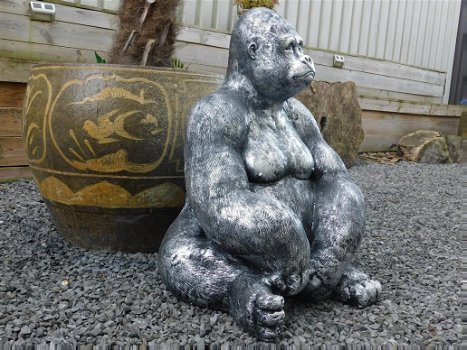 gorilla , kado - 3