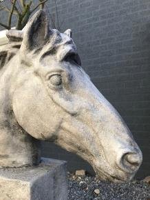 buste van een paardenhoofd , paard - 5