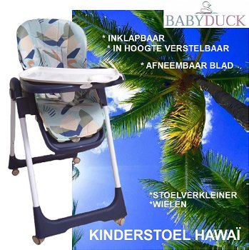 Verstelbare kinderstoel | BDK-HIGH CHAIR-HAWAÏ - 3