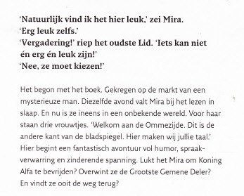 DE ZIN VAN DE OMMEZIJDE - Frank van Pamelen (2) - 1