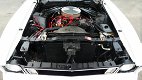 Ford Mustang Mach 1 Fastback - 4 - Thumbnail