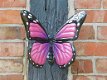 vlinders , vlinder - 6 - Thumbnail